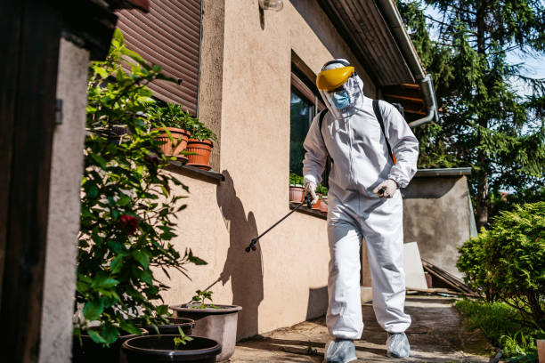 Best Best Pest Control Companies  in Hinsdale, IL