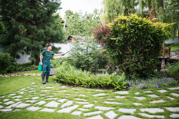 Best Local Pest Control Services  in Hinsdale, IL