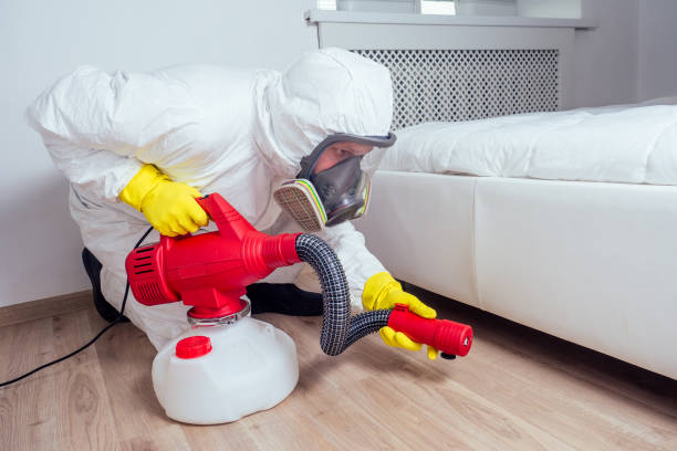 Best Insect Control  in Hinsdale, IL