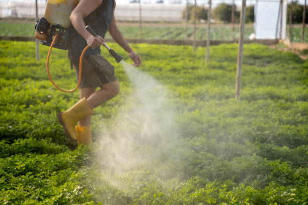 Best Pest Control for Businesses  in Hinsdale, IL
