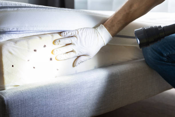 Best Affordable Exterminators  in Hinsdale, IL