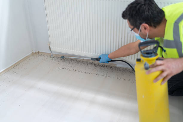 Best Pest Inspection Near Me  in Hinsdale, IL